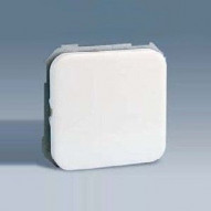 Interruptor Unipolar Blanco Marfil 31101-31