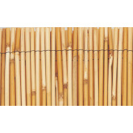 CaÑizo Tipo Bambu Rollo 2x5 M