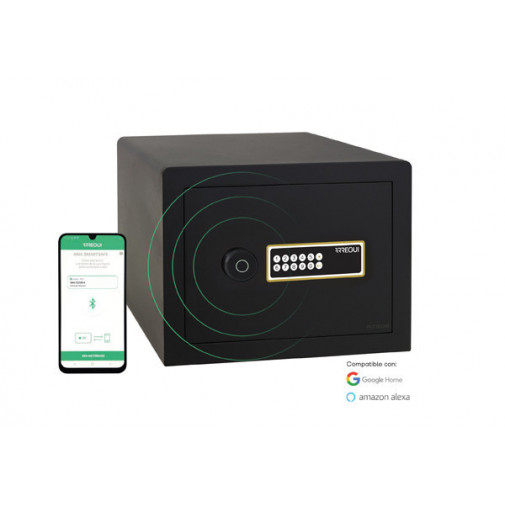 Arca Caudales Electronica Sobr 27x38,5x30