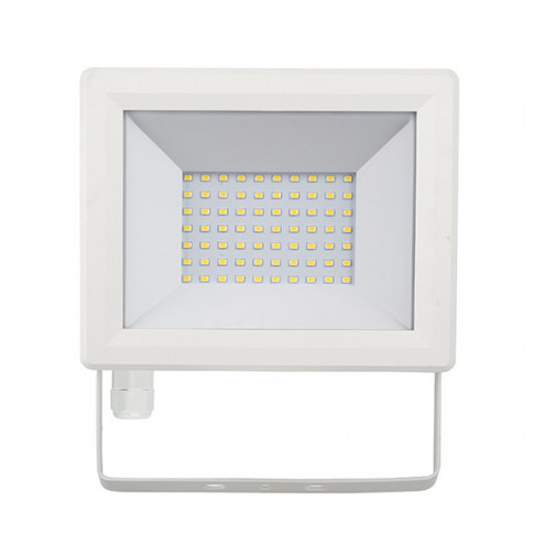 Foco Led Blanco Ip65 50 W 2
