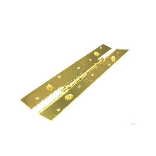 Bisagra Larga 2030x40cm 105 Lat Derechas Becusa