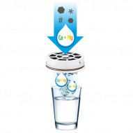 Botella Filtracion Instantanea 1 L 2