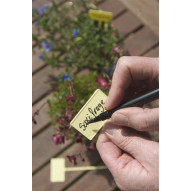 Etiqueta Plantar Bl.10ud 2