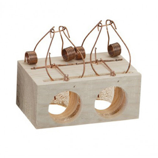 Trampa Raton 2 Agujeros Grande