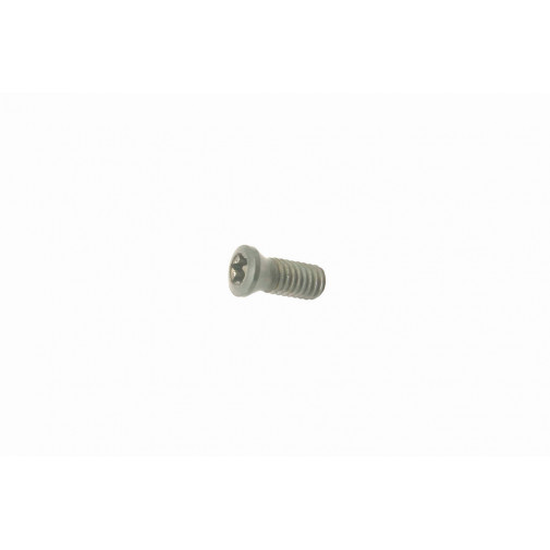 Tornillo Torx Placa Base Portaplaquitas Torneado Zm-4 10544