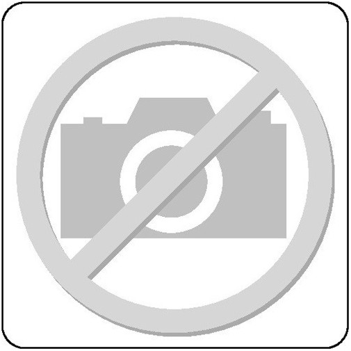 Disco Abrasivo De LÁminas DiÁm. 125 Mm GranulaciÓn 40 CÓnico