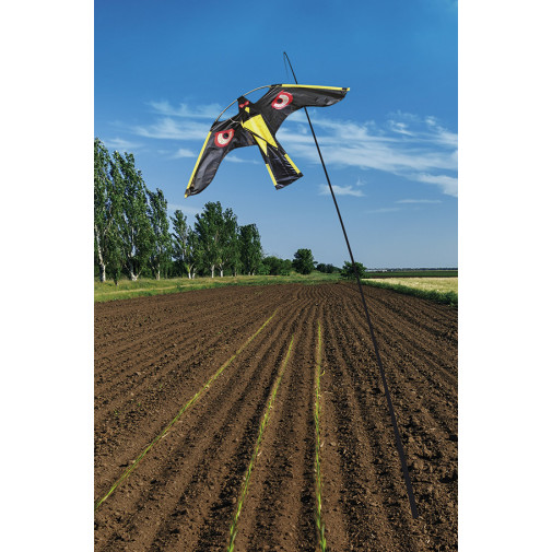 Cometa Halcon Espantapajaros