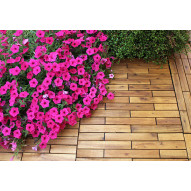 Loseta Madera Acacia Pack6 30x60x2.5