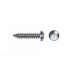 Tornillo R.chapa Ph Zn Din7981 4,2x13 Mm