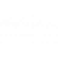 Engrasadora Palanca Rigido 500 Cm3 2