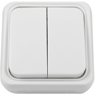 Interruptor Doble Superficie 10 A