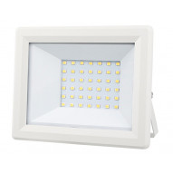 Foco Led Blanco Ip65 30 W