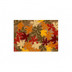 Felpudo Coco Estampado 70 X 40 Cm OtoÑo Duett