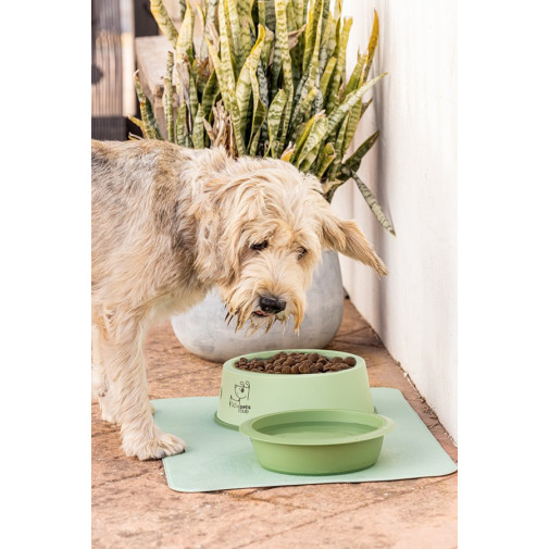 Comedero Mascotas Verde -