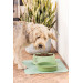 Comedero Mascotas Verde -