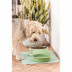 Comedero Mascotas Verde -