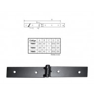 Bisagra Atornillar 300x40 Mm