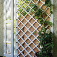 Celosia Extens Pvc Blanca 0.5x1.5m