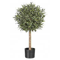 Arbol Olivo 100 Cm
