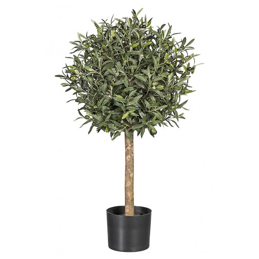 Arbol Olivo 100 Cm