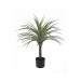 Planta Yucca 70 Cm