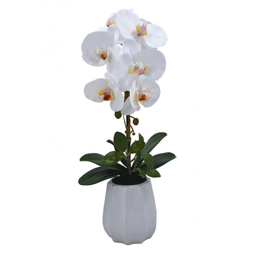 Planta Phalenopsis C/maceta Ceramica 54 Cm