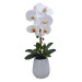 Planta Phalenopsis C/maceta Ceramica 54 Cm
