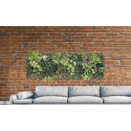 Jardin Vertical Belice 50x50 Cm