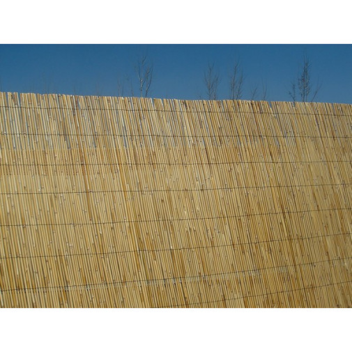 CaÑizo Tipo Bambu 1,5x5 M