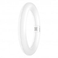 Tubo Led Circular 865 T9c G10q 6500k 1320 Lm 11w