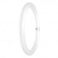 Tubo Led Circular 865 T9c G10q 6500k 2200 Lm 18,3 W