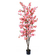 Arbol Almendro 180 Cm