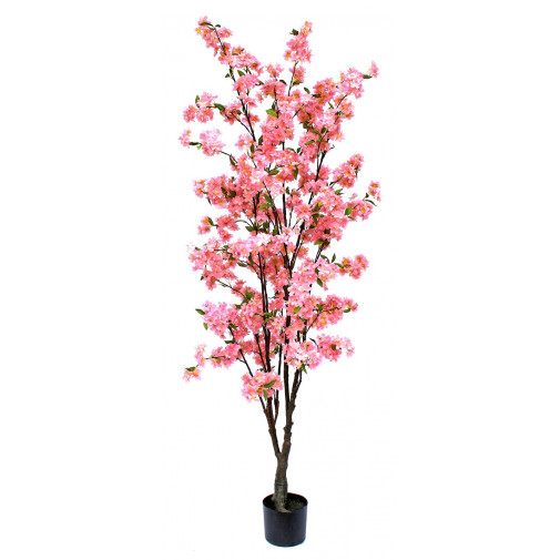 Arbol Almendro 180 Cm