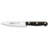 Cuchillo Coc Cocinero 120mm M/poliox Ne Inox Arcos 280304