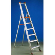 Escalera Regina Aluminio 6 Peldaños Reg 6 Unidad