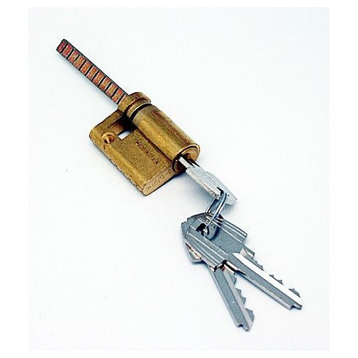 Cilindro 30x10mm Te5r3010l Lat Regul. Barra Univ. Tesa