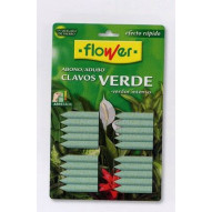 Abono Clavos Plantas Verdes 20u Productos Flower
