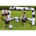 Porteria Pisc. 213x122x137cm Hinch Bestway Futbol 2bal 52058 2