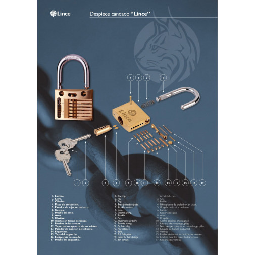 Candado Seg 50mm Arco Corto Lat Lince 2