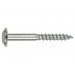 Tornillo Inviolable 07x090mm Cabeza Red. Cinc Index 100 Pz