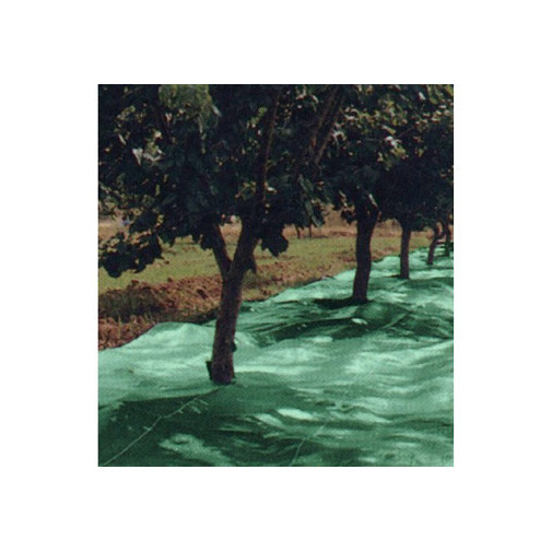Malla Recol. 4x8mt Aceitunas Natuur Ver Confecc. Nt128208