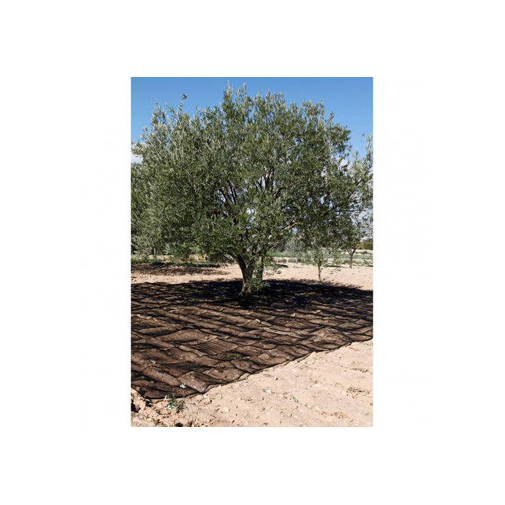 Malla Recol. 5x10mt Aceitunas Natuur Ne Confecc. Nt128214