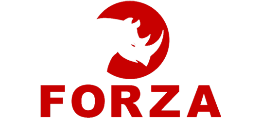 Forza
