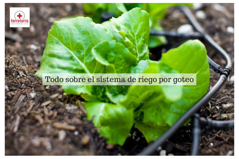 ¿Cómo funciona el sistema de riego por goteo?