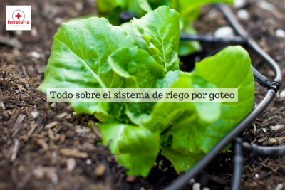 ¿Cómo funciona el sistema de riego por goteo?