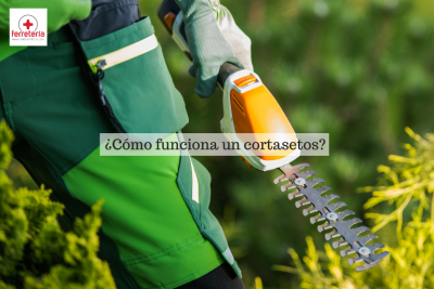 ¿Cómo funciona un cortasetos? Aprende a sacarle el máximo partido