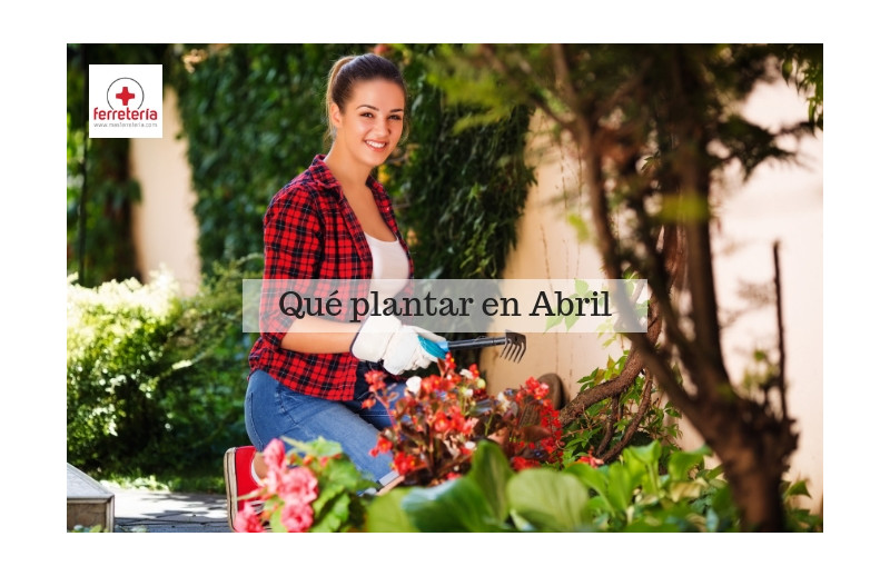 ¿Qué plantar en Abril?
