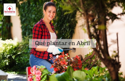 ¿Qué plantar en Abril?