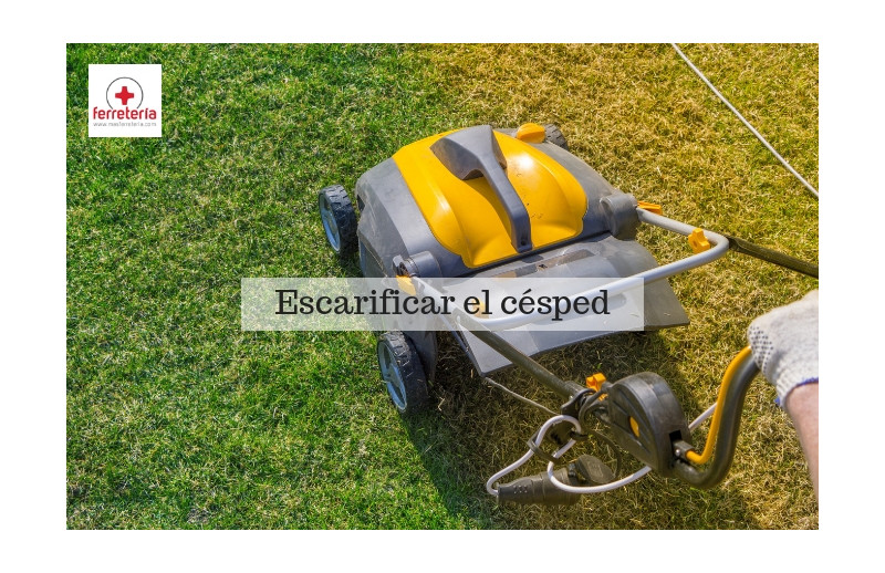 Cuándo escarificar el césped y cómo hacerlo