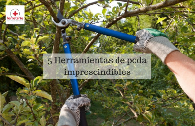 5 Herramientas de poda imprescindibles